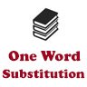 One Word Substitutions